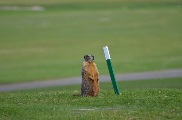 Ever feel like you're not sure if you measure up? (Photo Credit: Elizabeth Preston)