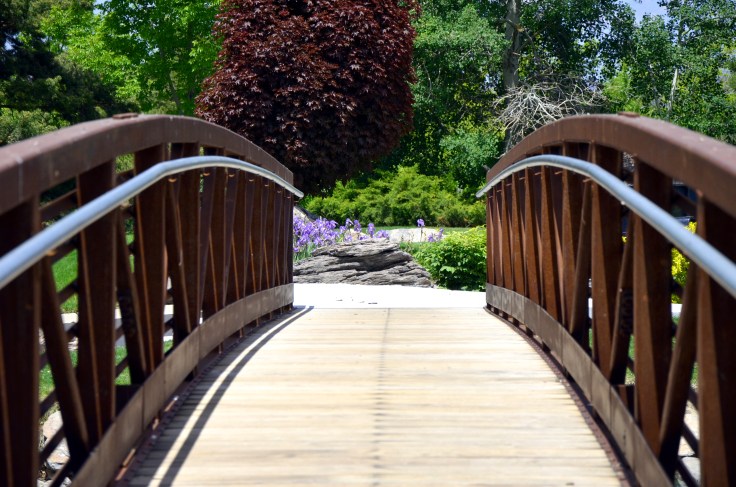 To crossing new bridges! Photo by: Elizabeth Preston