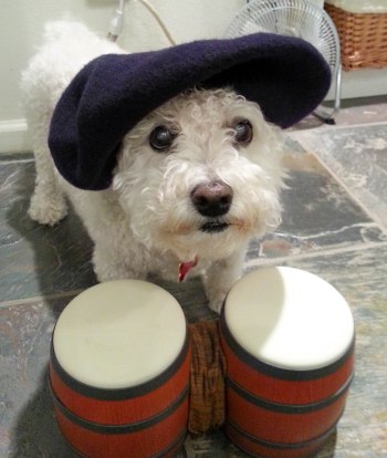 I wasn't the only one who learned something from the jazz class I took.  I promise that I gave her a doggy cookie after I took this picture. Photo by: Elizabeth Preston