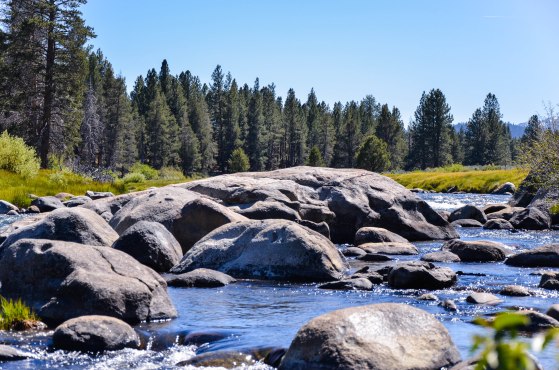 Navigating the Academic River