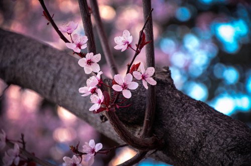 Participate in class!  Who knows, your input may blossom into something grand.  Ha ha, see what I did there? Photo By: Elizabeth Preston