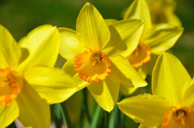 Will you join the gardening club? Photo By: Elizabeth Preston