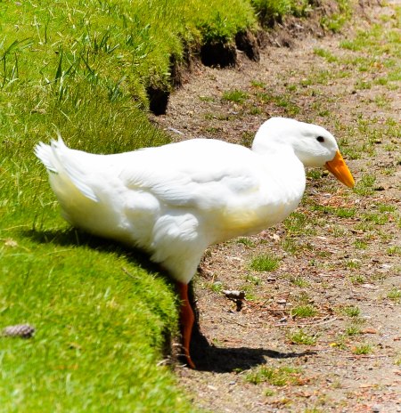 I guess that that's one way to sit. Photo By: Elizabeth Preston
