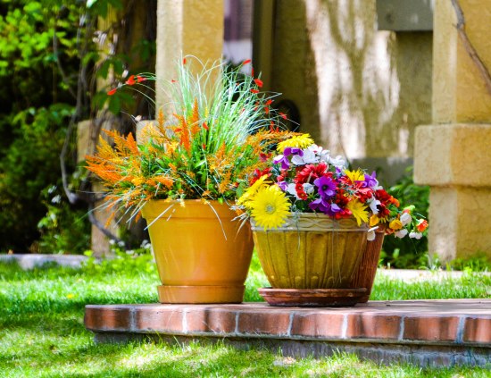 This man plants these flowers every spring.  I don't know why, but they make me happy.  It just goes to show you that you never know how you may touch another person's life.