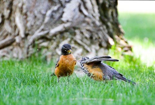 Don't ask something from your group members that you aren't willing to do yourself. Photo By: Elizabeth Preston