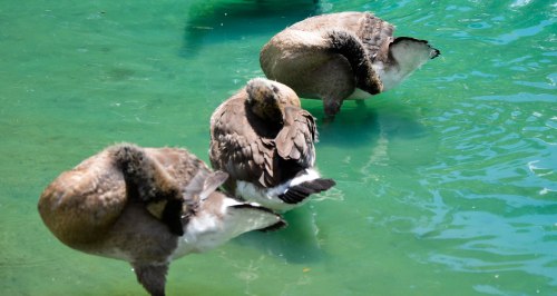 As a leader, one of your jobs is to try to get the members of your group in synch with one another. Photo By: Elizabeth Presotn