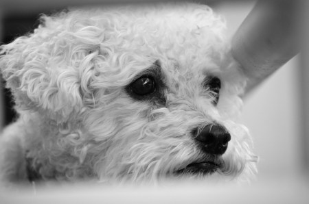 Do you ever feel like this when you realize that winter break is ending? Photo By: Elizabeth Preston