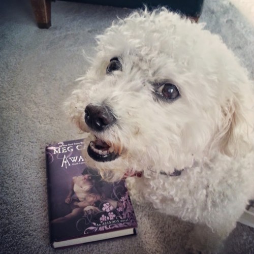 You know that excited feeling you get while reading a great book for the first time?  My dog looks like she gets it too.  Or maybe I had a cookie in my hand while I took the picture.  Who can really say? Photo By: Elizabeth Preston