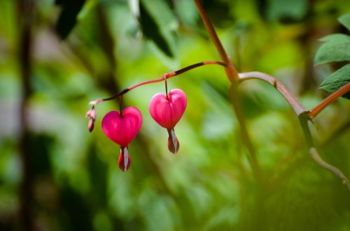 Photo By: Elizabeth Preston