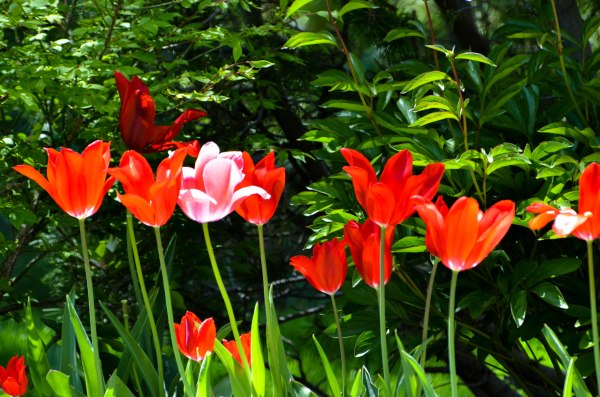 So pretty. Photo By: Elizabeth Preston