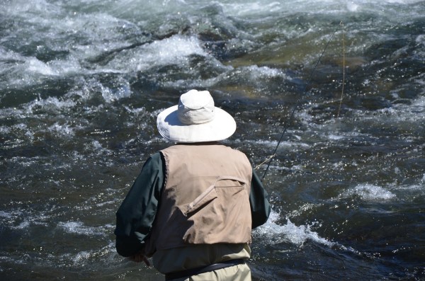 Fly fishing on a river. Photo By: Elizabeth Preston