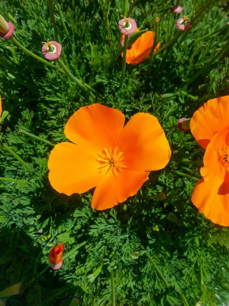 Making the world a brighter place doesn't have to be difficult. Photo By: Elizabeth Preston