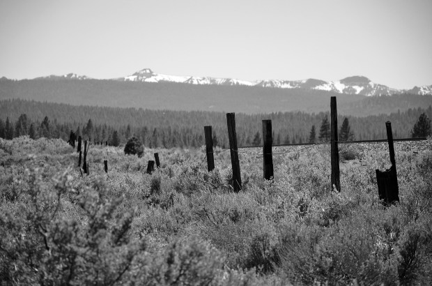 Is it time to mend broken fences? Photo By: Elizabeth Preston