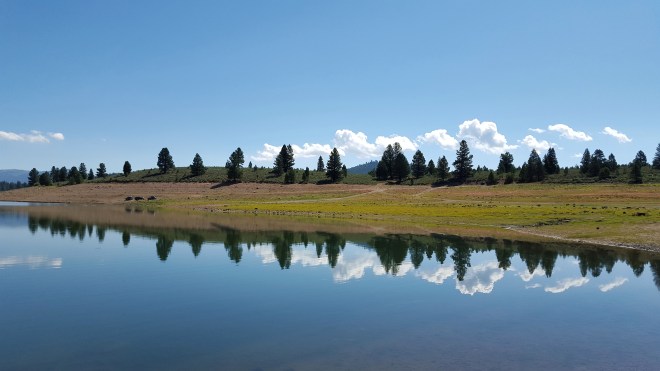 Now that's the blue, western sky that I love. Photo By: Elizabeth Preston