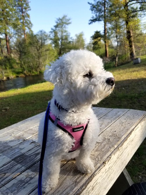 Looking for Improvement