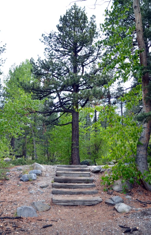 Steps to a Good Foundation