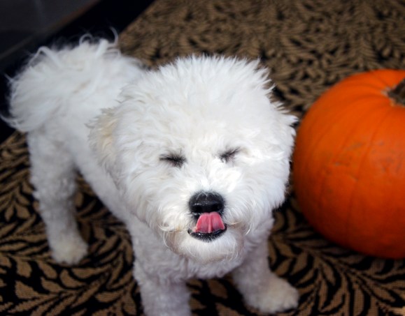 Always Making Me Laugh