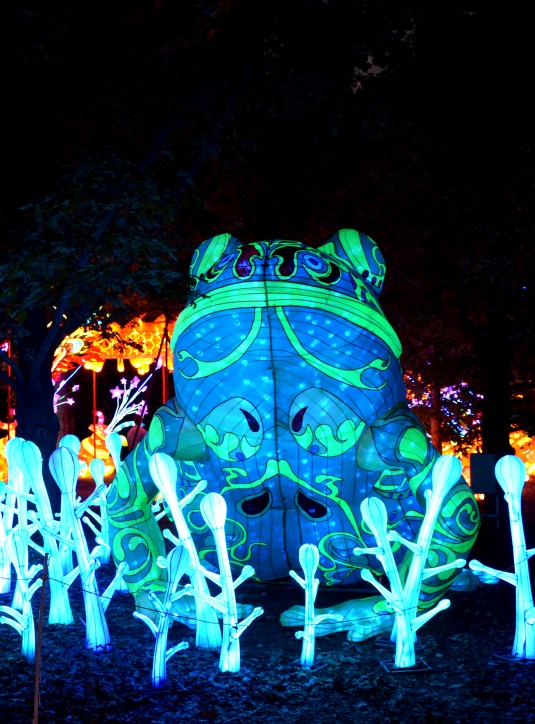 Leapfrog to the Wrong Conclusion