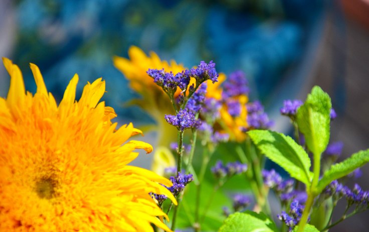 Yellow, Purple, and Green